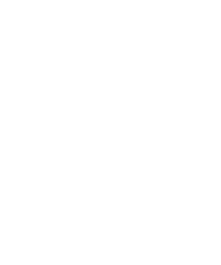 stellar yoga triangle logo